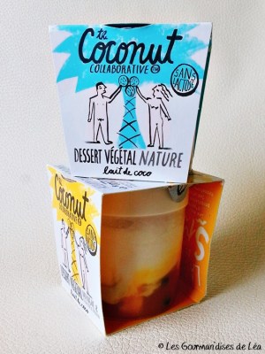 yaourt, dessert lacté, lait de coco, lait végétal, sans lactose, sans gluten, vegan