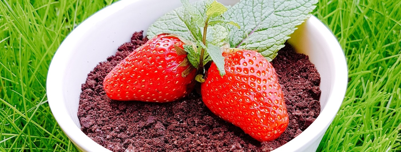 mousse, chocolat, chocolat noir, fraise, fruits rouges, fruit d'été, dessert, dessert original, oreo, menthe, sucré, fondant, fait maison, homemade