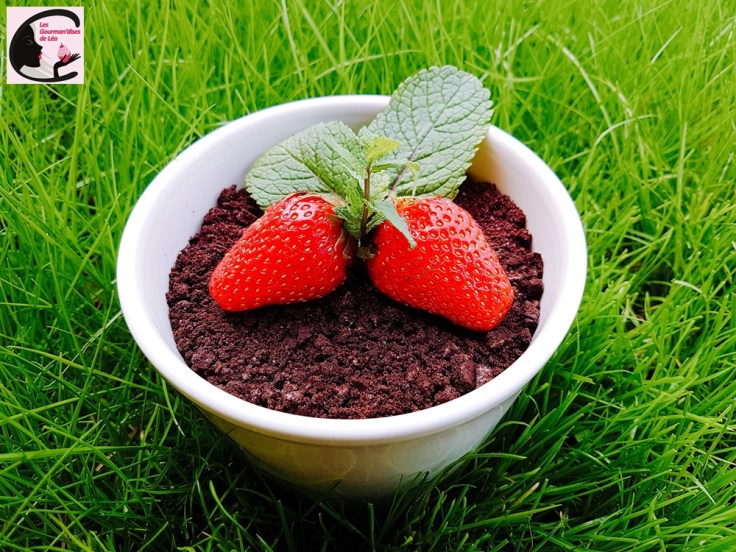 Petit Pot de Fraises Gourmand